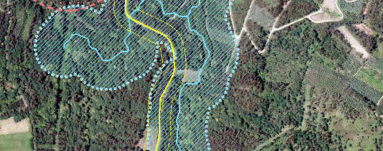 Visor de aproveitamentos forestais