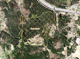 Actualización recente de información en varios visores