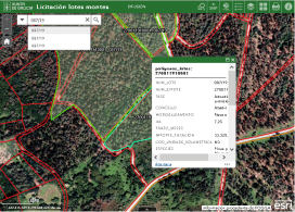 Novo visor para a xestión de Poxas Públicas de Madeira