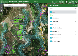Novo visor para a xestión de Poxas Públicas de Madeira